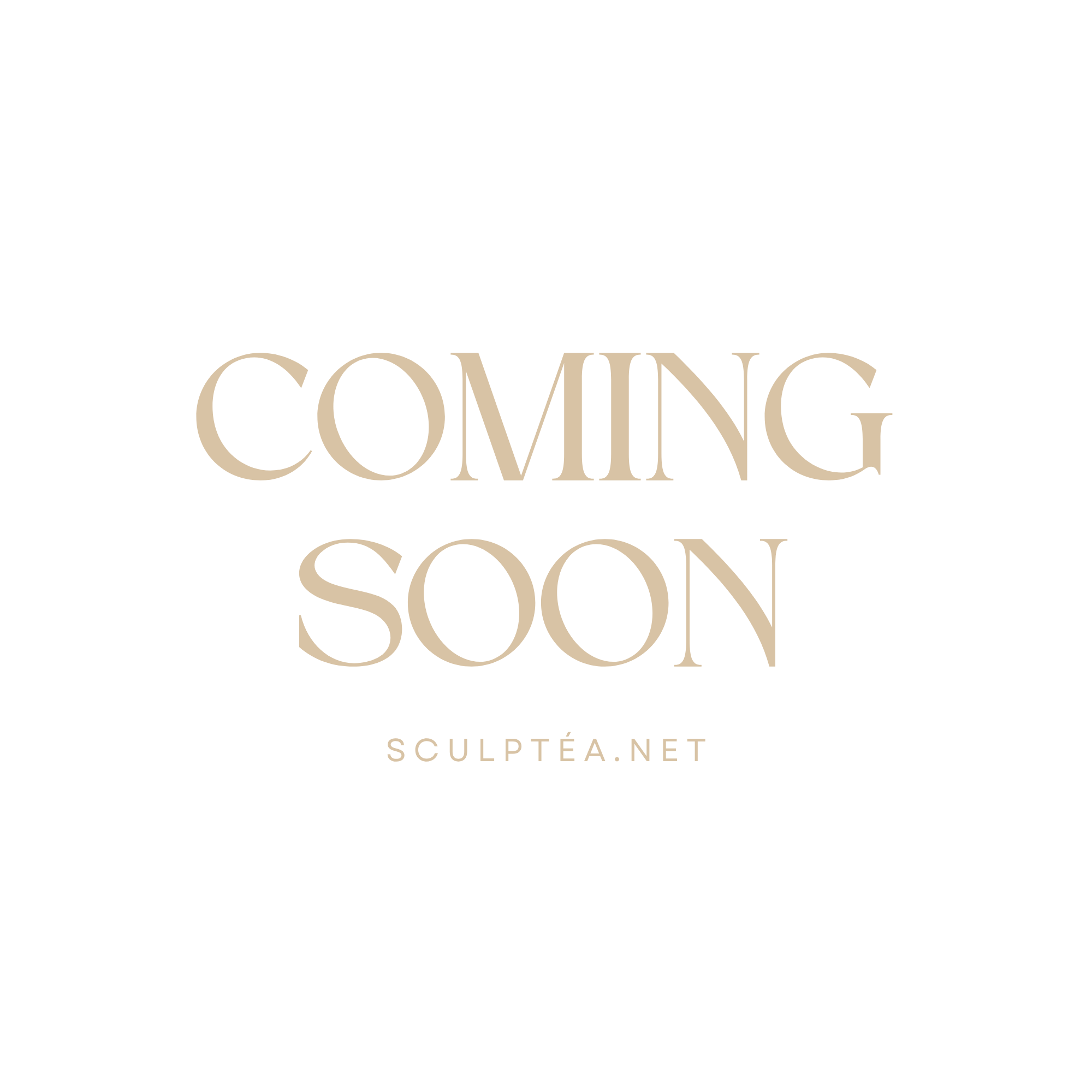 Blog is coming soon !